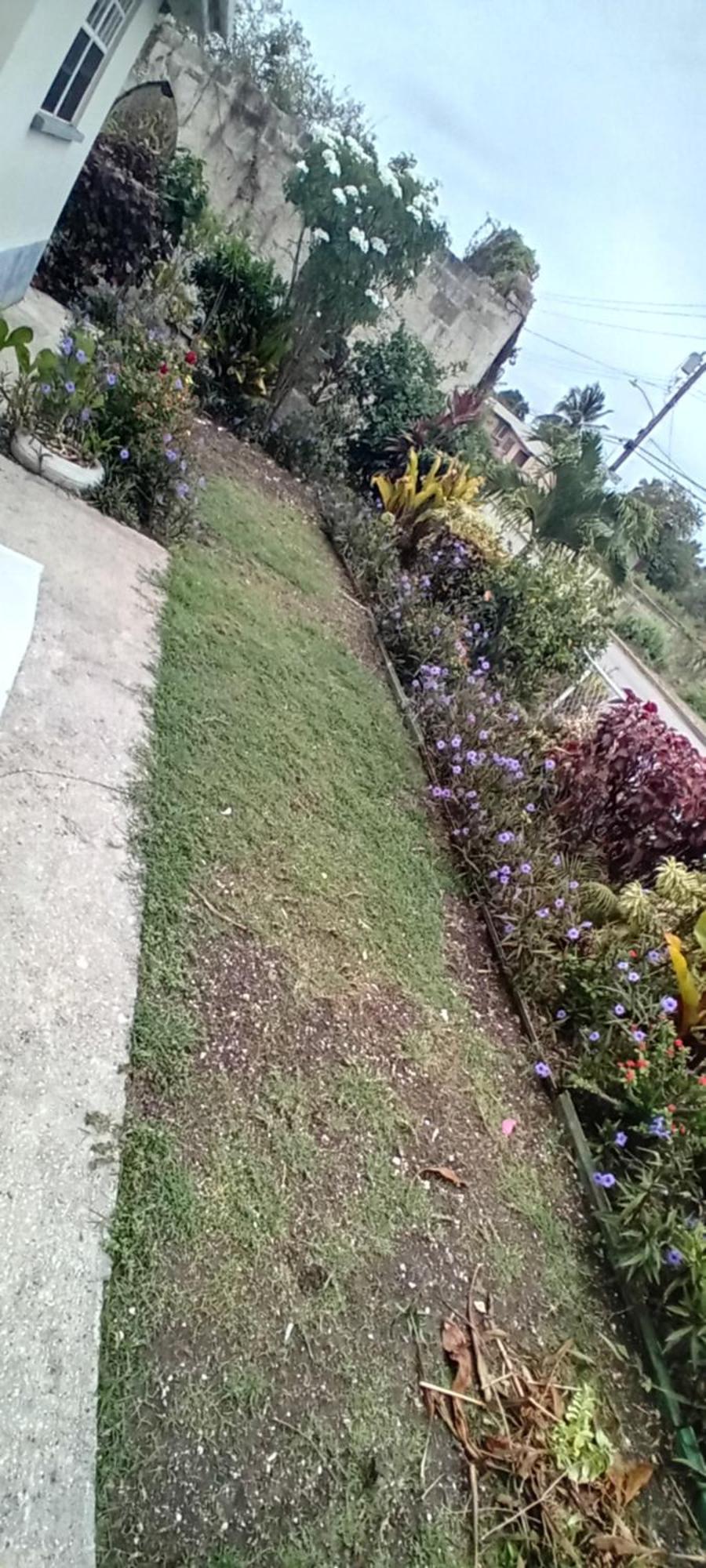 Chandler Homestay Saint Philip Exterior foto